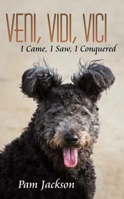 Veni, Vidi, Vici: I Came, I Saw, I Conquered - Pam Jackson - cover
