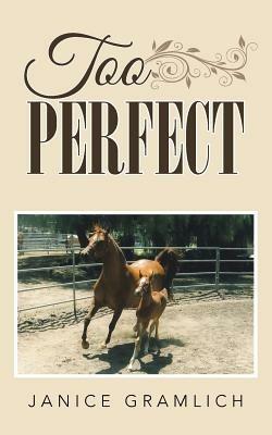 Too Perfect - Janice Gramlich - cover