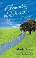 Elements of Denial - A Memoir of Integration: With an Introduction by Daniel Skenderian, PhD