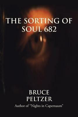 The Sorting of Soul 682 - Bruce Peltzer - cover