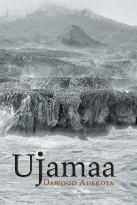 Ujamaa - Dawood Adekoya - cover