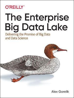 The Enterprise Big Data Lake: Delivering the Promise of Big Data and Data Science - Alex Gorelik - cover