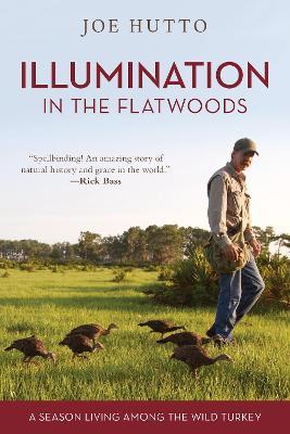 Illumination in the Flatwoods: A Season Living Among the Wild Turkey - Joe Hutto - cover