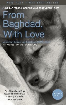 From Baghdad, With Love: A Dog, A Marine, and the Love That Saved Them - Jay Kopelman,Melinda Roth,Tom McCarthy - cover