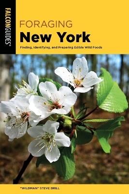 Foraging New York - "Wildman" Steve Brill - cover