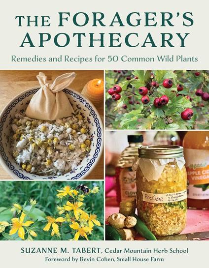 The Forager's Apothecary