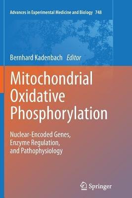 Mitochondrial Oxidative Phosphorylation: Nuclear-Encoded Genes, Enzyme Regulation, and Pathophysiology - cover