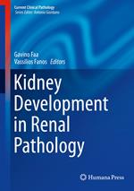 Kidney Development in Renal Pathology