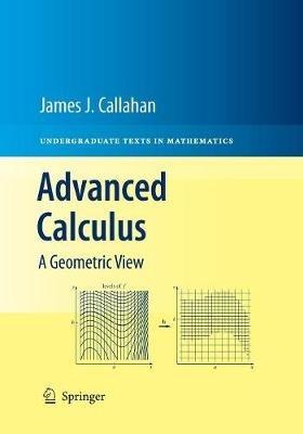 Advanced Calculus: A Geometric View - James J. Callahan - cover