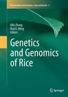 Genetics and Genomics of Rice - cover
