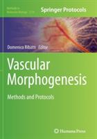 Vascular Morphogenesis: Methods and Protocols - cover