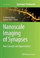 Nanoscale Imaging of Synapses: New Concepts and Opportunities - cover