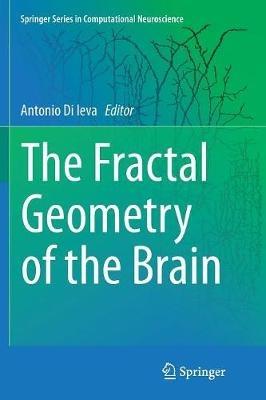 The Fractal Geometry of the Brain - cover