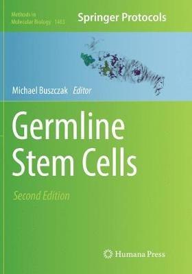 Germline Stem Cells - cover