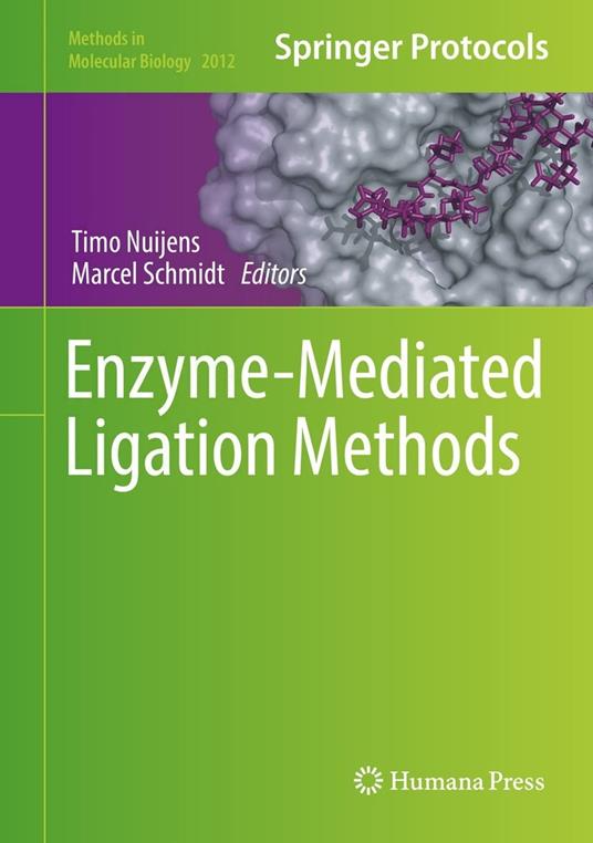 Enzyme-Mediated Ligation Methods