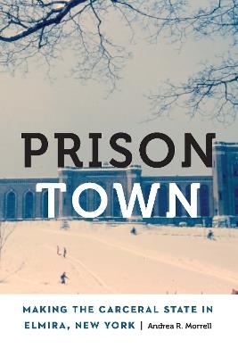 Prison Town: Making the Carceral State in Elmira, New York - Andrea R. Morrell - cover