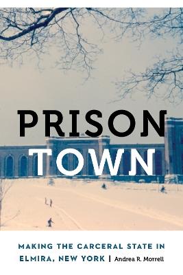 Prison Town: Making the Carceral State in Elmira, New York - Andrea R. Morrell - cover
