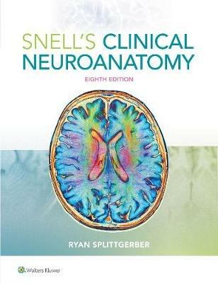 Snell's Clinical Neuroanatomy - Ryan Splittgerber - cover