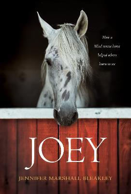 Joey: How a Blind Rescue Horse Helped Others Learn to See - Jennifer Bleakley - cover