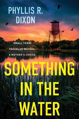 Something in the Water - Phyllis R. Dixon - cover