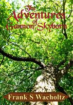 The Adventures of Gannon Skyborn