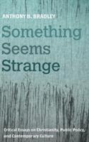 Something Seems Strange: Critical Essays on Christianity, Public Policy, and Contemporary Culture - Anthony B Bradley - cover