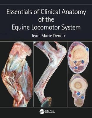 Essentials of Clinical Anatomy of the Equine Locomotor System - Jean-Marie Denoix - cover