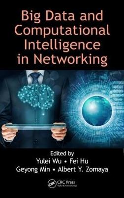 Big Data and Computational Intelligence in Networking - cover