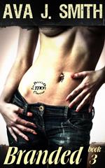 Branded: (MC Erotica) Book 3 The Devil's Own Collection