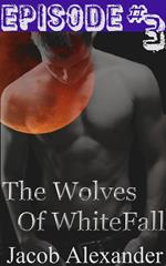 Episode 3: The Wolves Of Whitefall