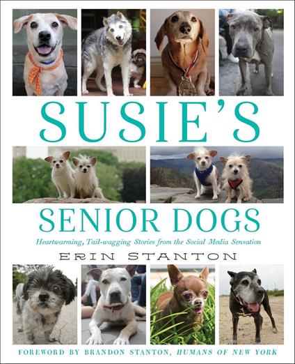 Susie's Senior Dogs