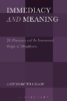 Immediacy and Meaning: J. K. Huysmans and the Immemorial Origin of Metaphysics - Caitlin Smith Gilson - cover