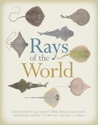 Rays of the World - cover