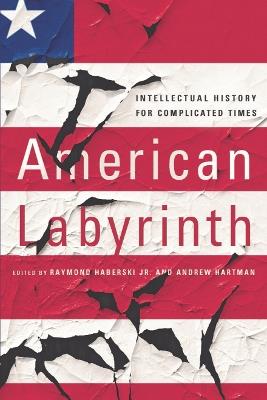 American Labyrinth: Intellectual History for Complicated Times - cover