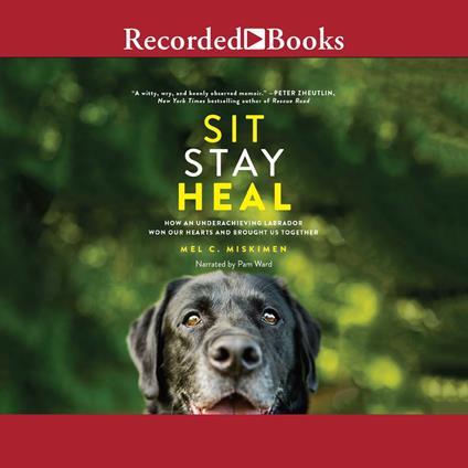 Sit Stay Heal