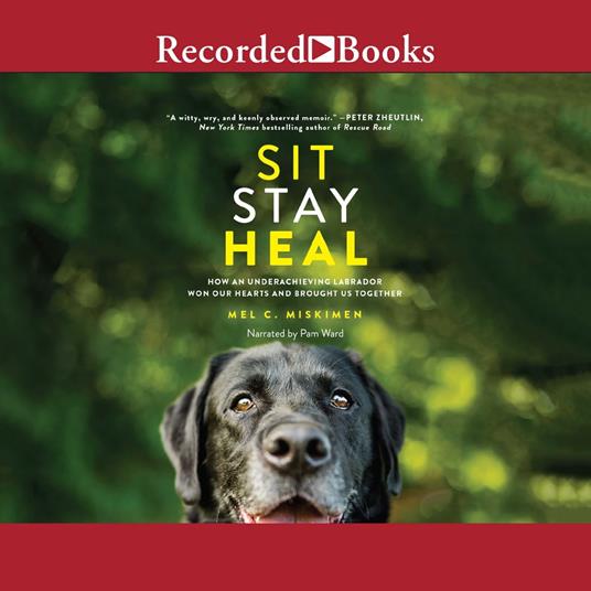 Sit Stay Heal