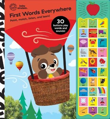 Baby Einstein First Words Sound Book - P I Kids - cover