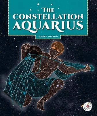 The Constellation Aquarius - Sierra Wilson - cover