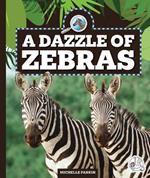 A Dazzle of Zebras