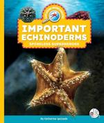 Important Echinoderms: Spineless Superheroes