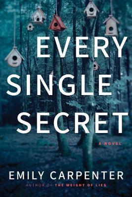 Every Single Secret: A Novel - Emily Carpenter - cover