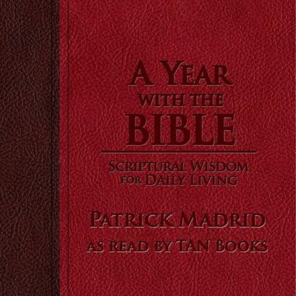 Year with the Bible, A