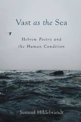 Vast as the Sea: Hebrew Poetry and the Human Condition - Samuel Hildebrandt - cover