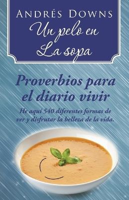Un pelo en la sopa: Proverbios para el diario vivir - Andres Downs - cover