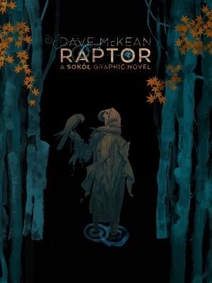 Raptor: A Sokol Graphic Novel - Dave Mckean,Dave McKean - cover
