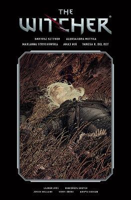 The Witcher Library Edition Volume 2 - Bartosz Sztybor,Aleksandra Motyka,Marianna Strychowska - cover