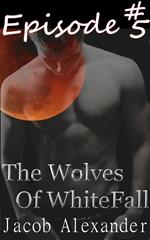 Episode 5: The Wolves of WhiteFall