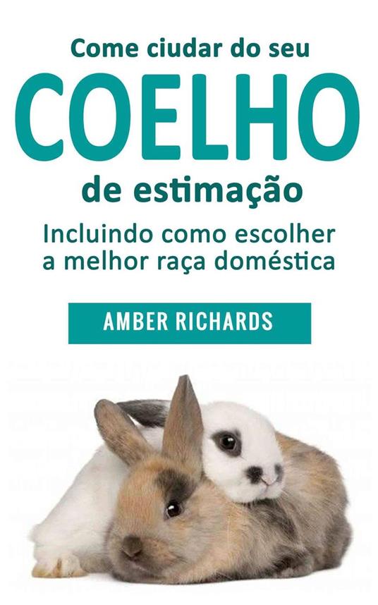 Como cuidar de seu coelho de estimação