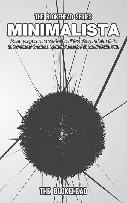Minimalista! Come preparare e controllare il tuo vivere minimalista - The Blokehead - ebook