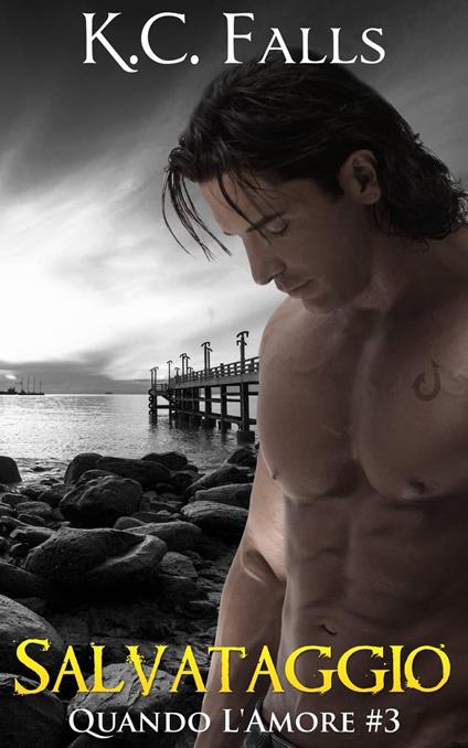 Salvataggio d'Amore #3 - K.C. Falls - ebook